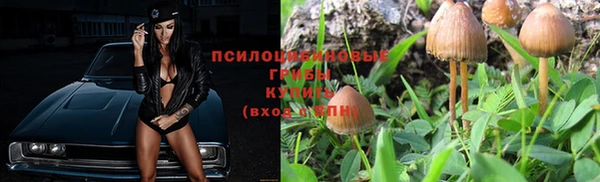 дурь Алзамай