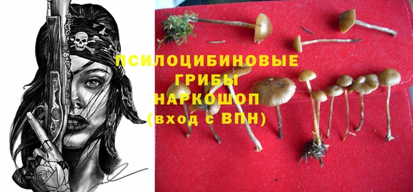 дурь Алзамай