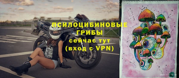 дурь Алзамай