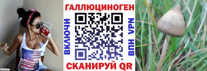 Галлюциногенные грибы Cubensis  Купить  Тавда 
